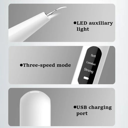 Ultrasonic Electric Dental Scaler Teeth Plaque Cleaner Dental Stone Removal With LED Light, Spec: Package A with Accessories - Teeth Whitening by buy2fix | Online Shopping UK | buy2fix