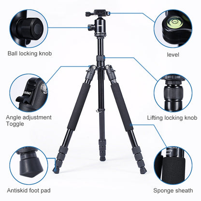 TRIOPO Oubao A-608S  Adjustable Portable  Aluminum Alloy Tripod with Ball Head for SLR Camera - Camera Accessories by TRIOPO | Online Shopping UK | buy2fix