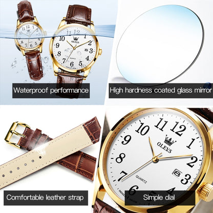 OLEVS 5566 Women Simple Single Calendar Waterproof Quartz Watch(White) - Leather Strap Watches by OLEVS | Online Shopping UK | buy2fix