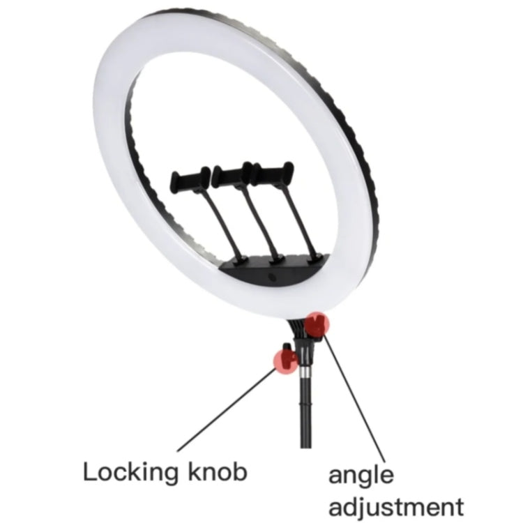 JMARY FM-21R With Remote Control Phone Clip 21-inch Dimmable LED Ring Light(US Plug) -  by Jmary | Online Shopping UK | buy2fix