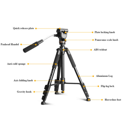 QingZhuangShiDai Q111S Aluminum Alloy Mobile Phone Camera Photography Tripod(Black) - Camera Accessories by QingZhuangShiDai | Online Shopping UK | buy2fix