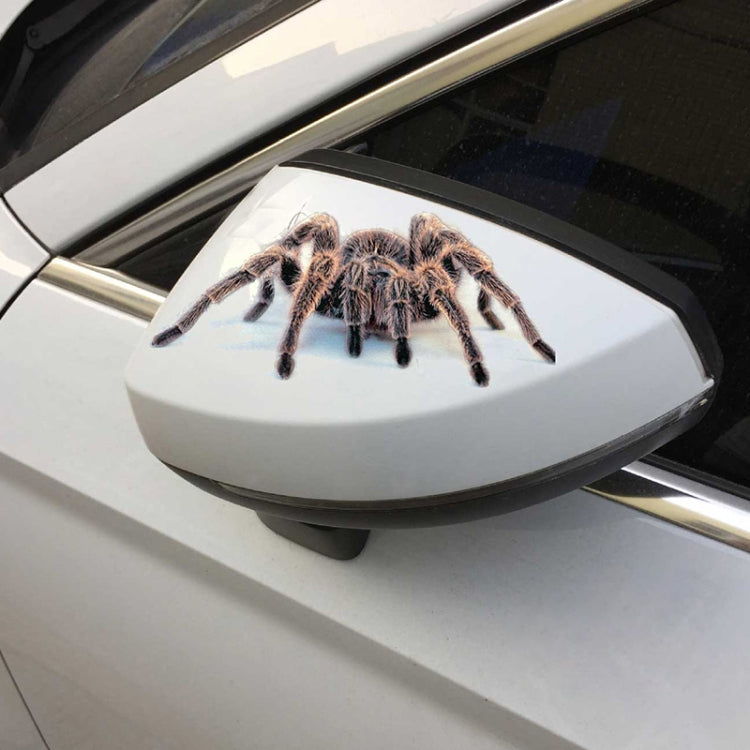 2 PCS Creative Personality Scratch Cover  Car Body Sticker(Black Spider) - 3D Creative Stickers by buy2fix | Online Shopping UK | buy2fix