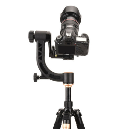 QingZhuangShiDai Q35 SLR Camera Telephoto Lens Bird Watching Tripod Head(Gold) - Camera Accessories by QingZhuangShiDai | Online Shopping UK | buy2fix