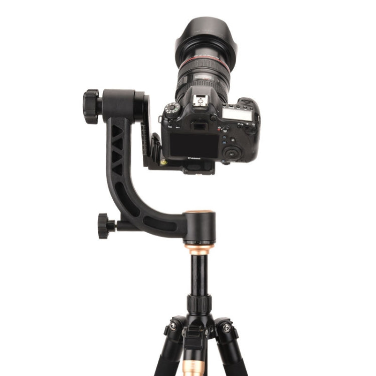 QingZhuangShiDai Q35 SLR Camera Telephoto Lens Bird Watching Tripod Head(Gold) - Camera Accessories by QingZhuangShiDai | Online Shopping UK | buy2fix