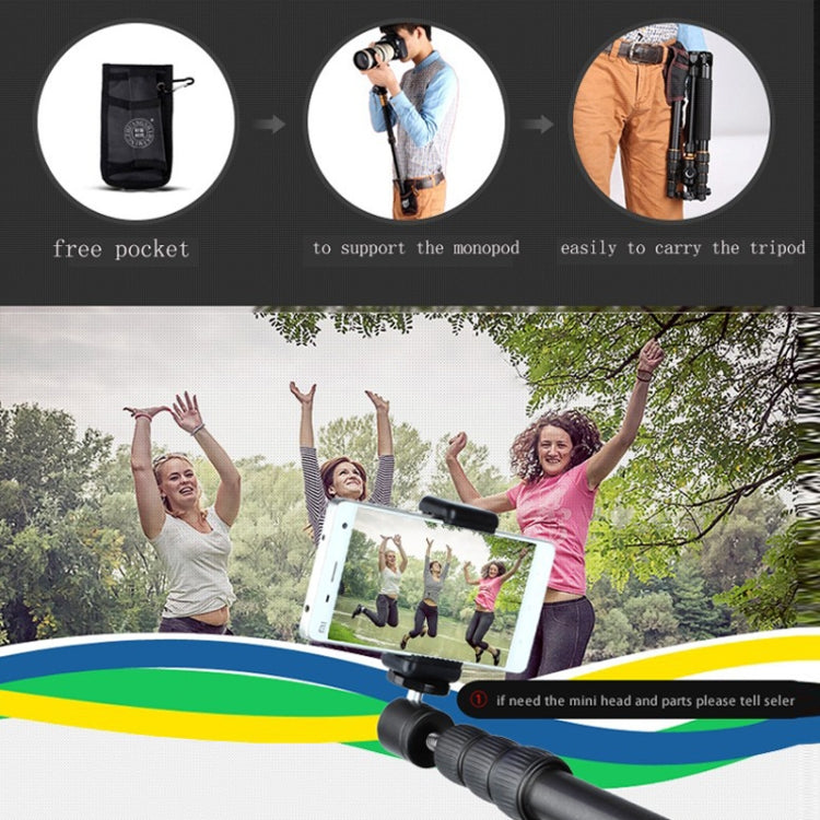 QingZhuangShiDai  Q999B Portable and Stable Photography SLR Digital Camera Tripod(Black) - Camera Accessories by QingZhuangShiDai | Online Shopping UK | buy2fix